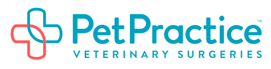Pet Practice Veterinary Surgeries