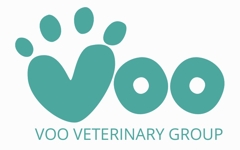 Voo